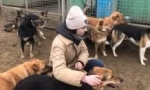 Kako postati dobrovoljac u skloništu za životinje